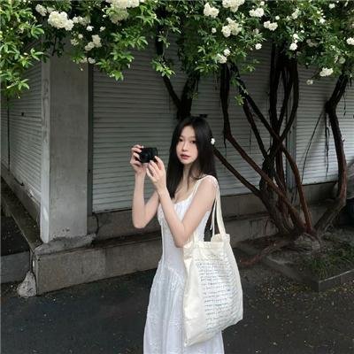 艾尔·卡彭 海报