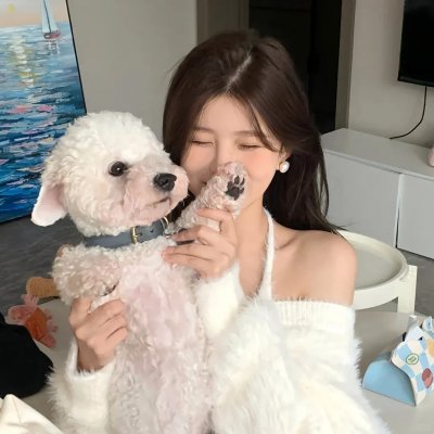 完美娇妻养成班 海报