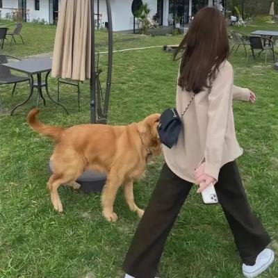 恶搞之家第三季 海报